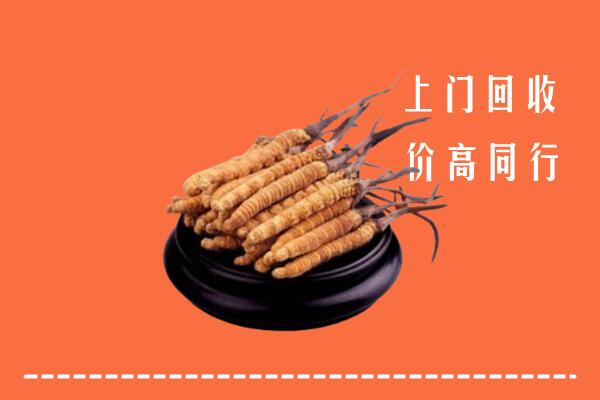遂宁回收散虫草
